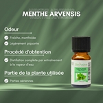 Huiles Essentielles Menthe Arvensis - 10 ml