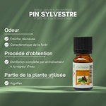 Huiles Essentielles Pin Sylvestre - 10 ml