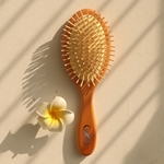 Brosse à Cheveux en bois