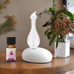 Diffuseur d'huiles essentielles DAN V2 - avec verrerie Aurora