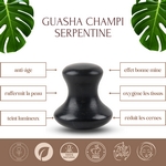 1 Champi GuaSha en Serpentine Noir