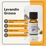Huiles Essentielles Lavandin Grosso - 10 ml